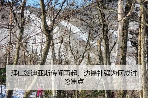拜仁签迪亚斯传闻再起，边锋补强为何成讨论焦点