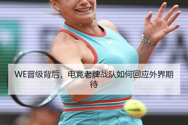 WE晋级背后，电竞老牌战队如何回应外界期待